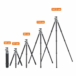 Rollei Lion Rock Pro|Dreibeinstative-Lion Rock Pro inkl. Stativkopf