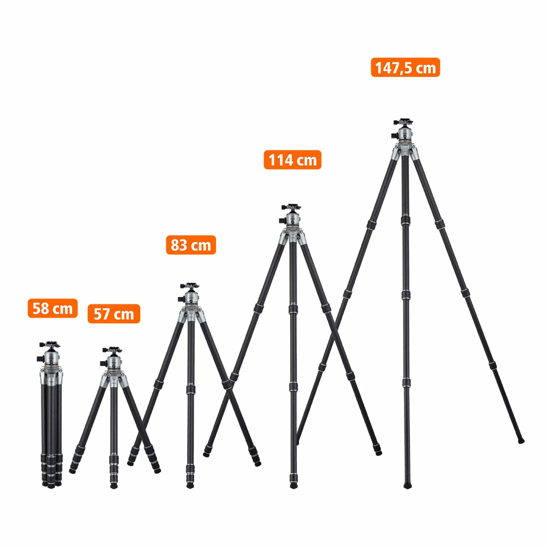 Rollei Lion Rock Pro|Dreibeinstative-Lion Rock Pro inkl. Stativkopf