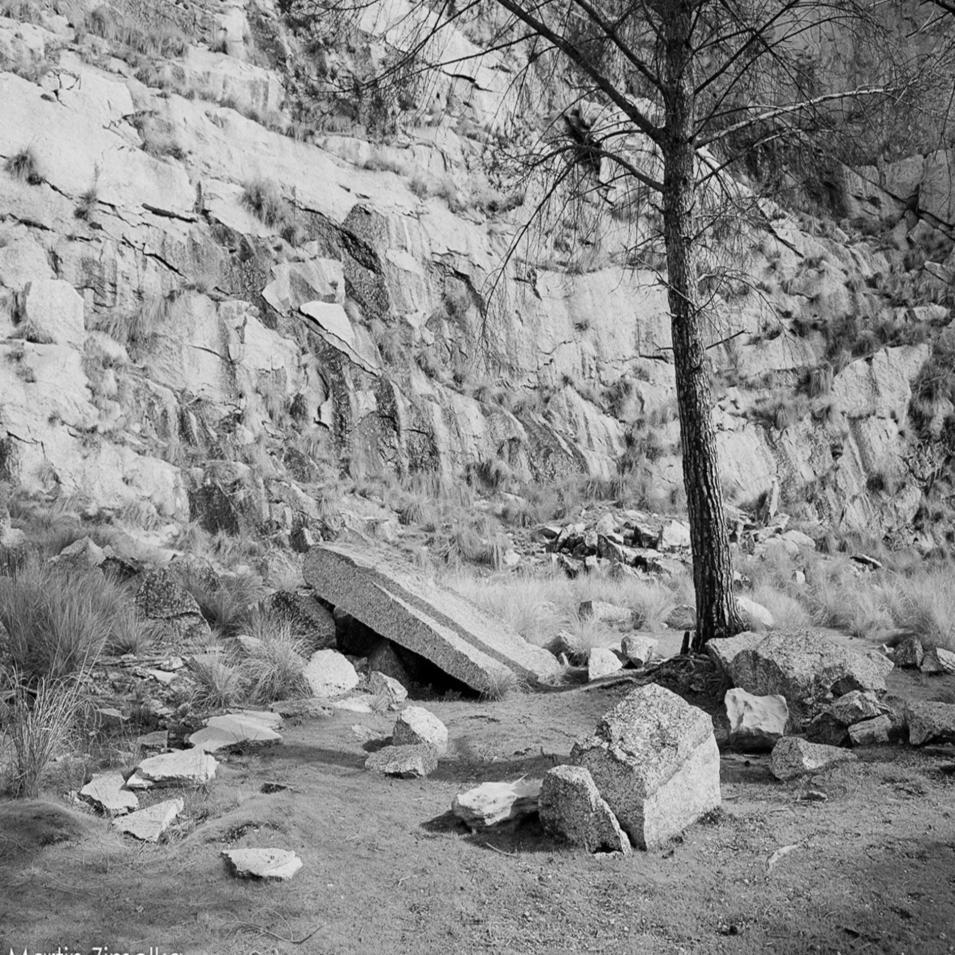 Rollei Analoge Filme-Ortho 25 plus Schwarzweiß-Negativfilm | 35 mm | 36 Aufnahmen | ISO 25