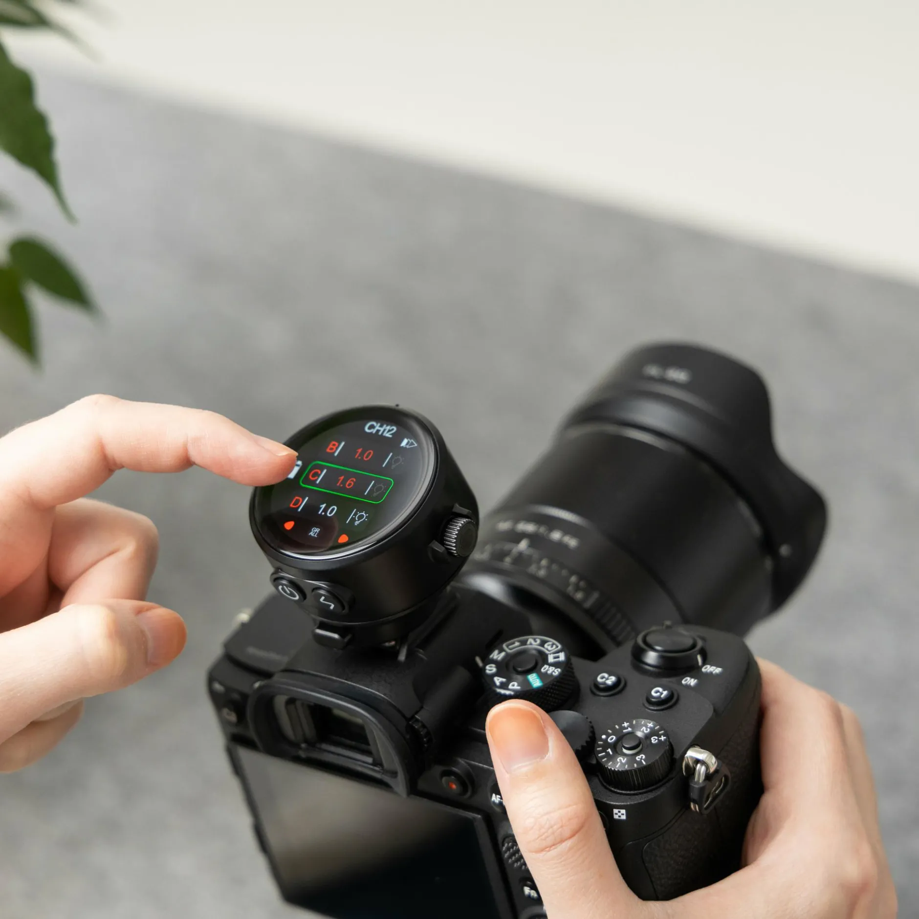 Rollei Funksender|Funksender-Profi Funksender | TR-Q8 Touch | für Studioblitze