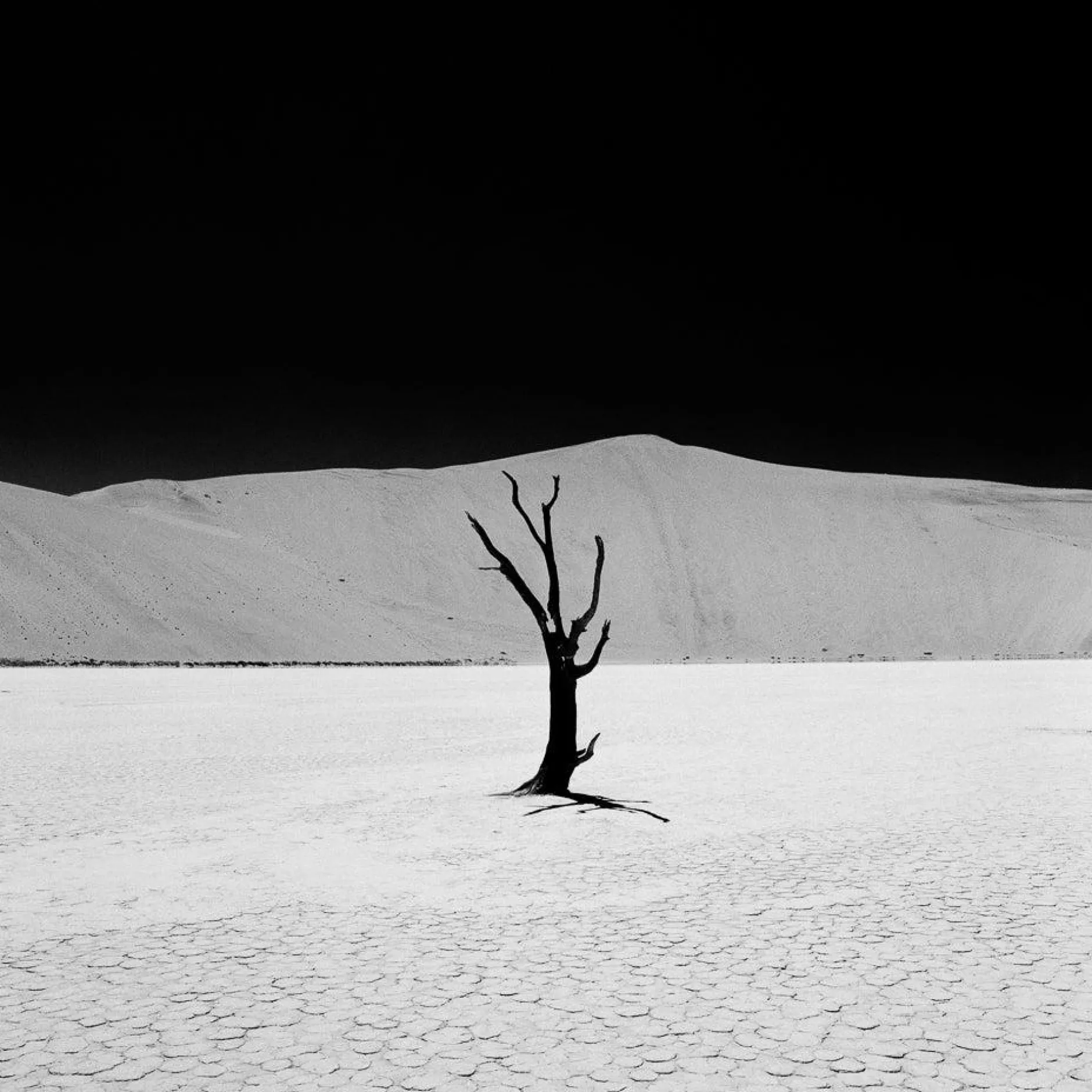 Rollei Analoge Filme-RPX Schwarzweiß-Negativfilm | 35 mm & Rollfilm | ISO 25 / 100 / 400