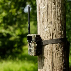 Rollei Wildkameras|Wildkameras-Wildkamera 4G SIMConnect